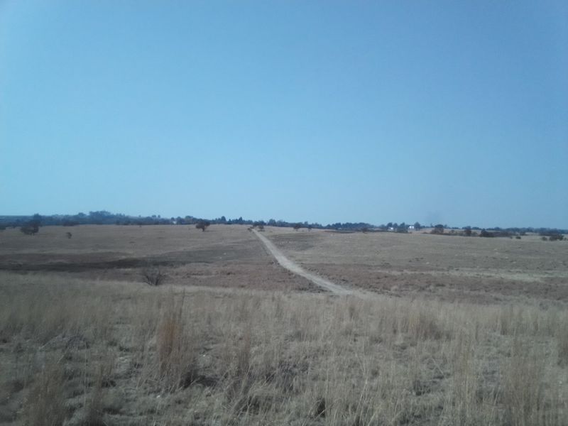 FORTY TWO HECTARES VACANT LAND PROPERTY FOR RENTAL - Photo 5