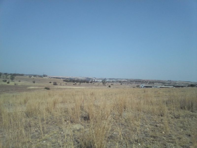 FORTY TWO HECTARES VACANT LAND PROPERTY FOR RENTAL - Photo 10