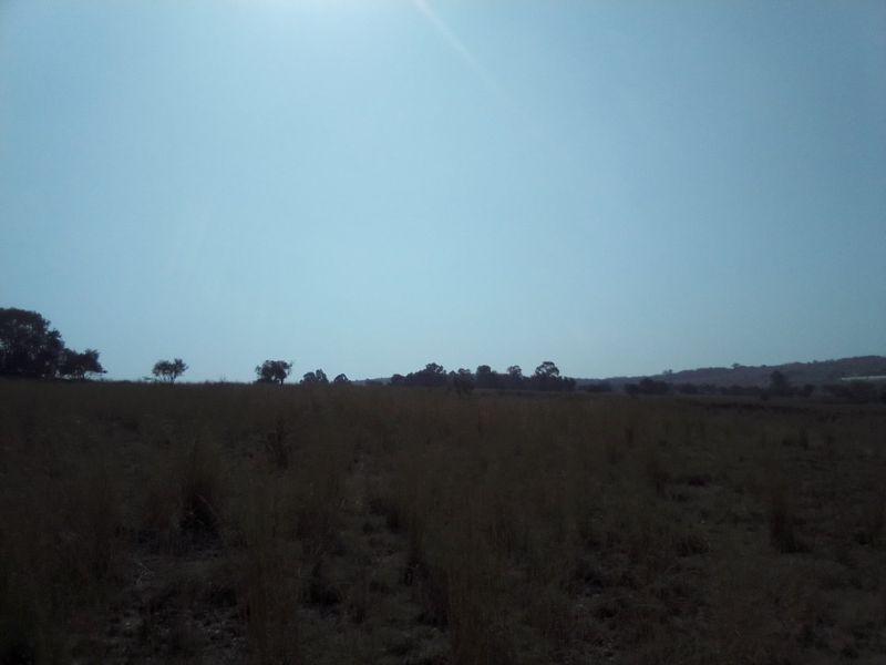 FORTY TWO HECTARES VACANT LAND PROPERTY FOR RENTAL - Photo 8