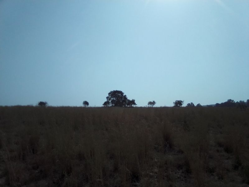 FORTY TWO HECTARES VACANT LAND PROPERTY FOR RENTAL - Photo 7