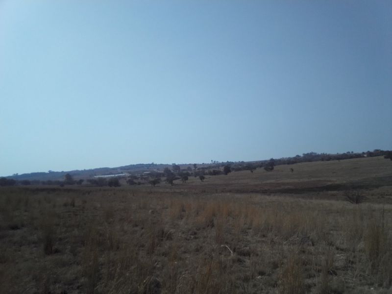 FORTY TWO HECTARES VACANT LAND PROPERTY FOR RENTAL - Photo 6