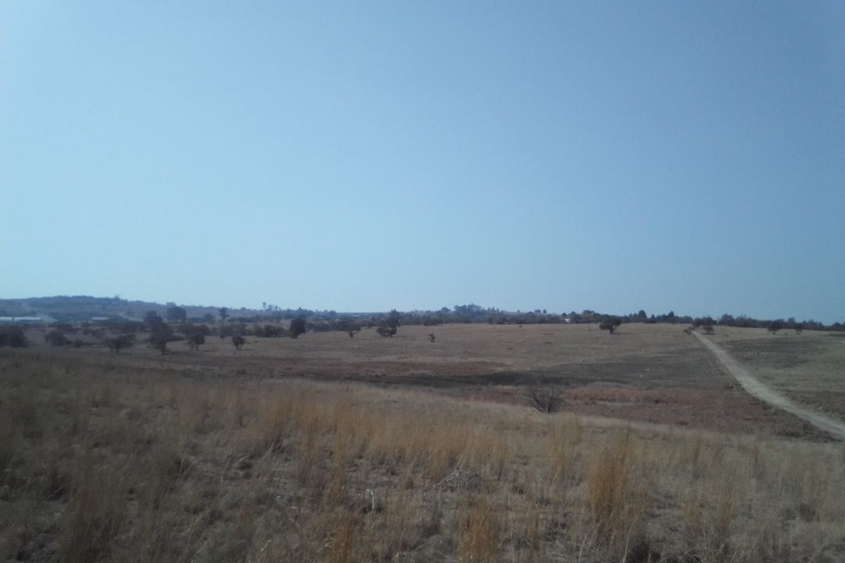 FORTY TWO HECTARES VACANT LAND PROPERTY FOR RENTAL - Photo 4