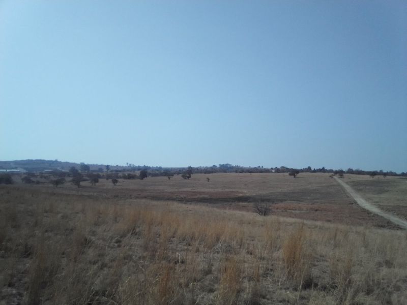 FORTY TWO HECTARES VACANT LAND PROPERTY FOR RENTAL - Photo 4
