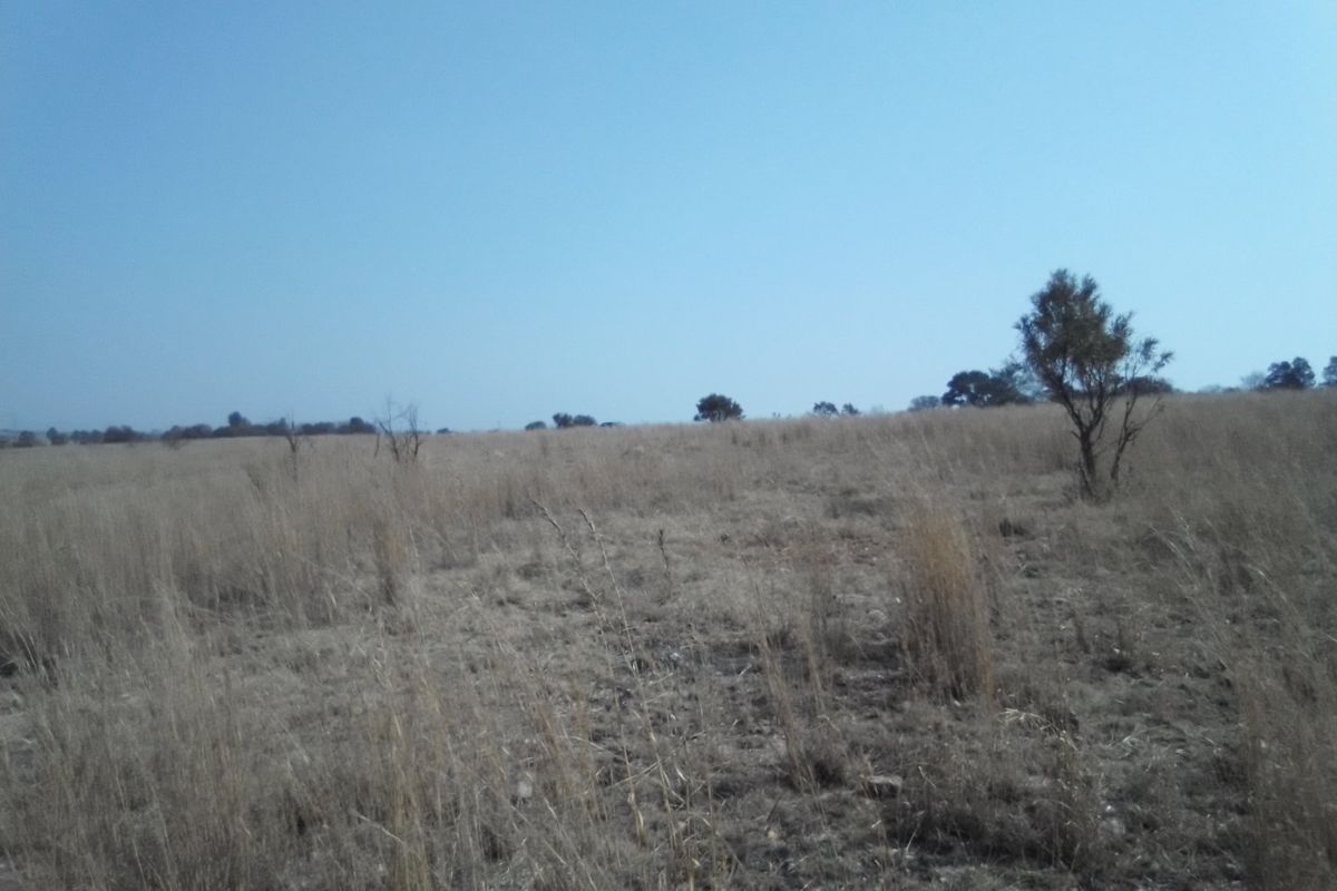 FORTY TWO HECTARES VACANT LAND PROPERTY FOR RENTAL - Photo 2