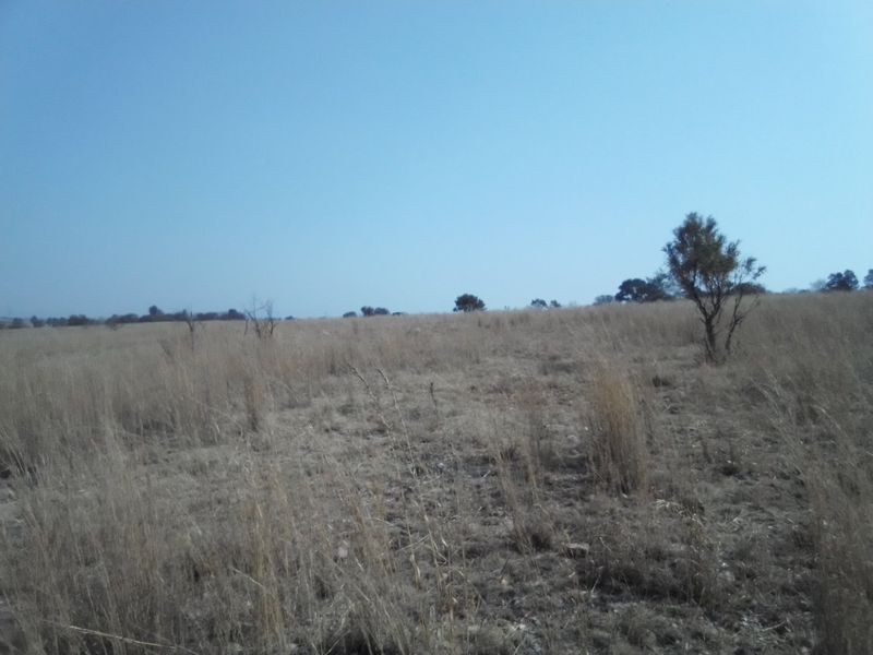 FORTY TWO HECTARES VACANT LAND PROPERTY FOR RENTAL - Photo 2