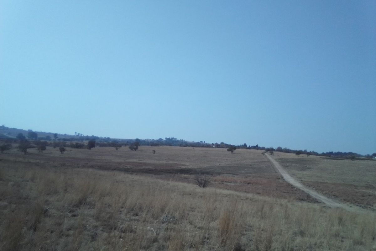 FORTY TWO HECTARES VACANT LAND PROPERTY FOR RENTAL - Photo 3