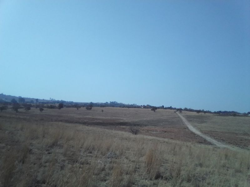 FORTY TWO HECTARES VACANT LAND PROPERTY FOR RENTAL - Photo 3