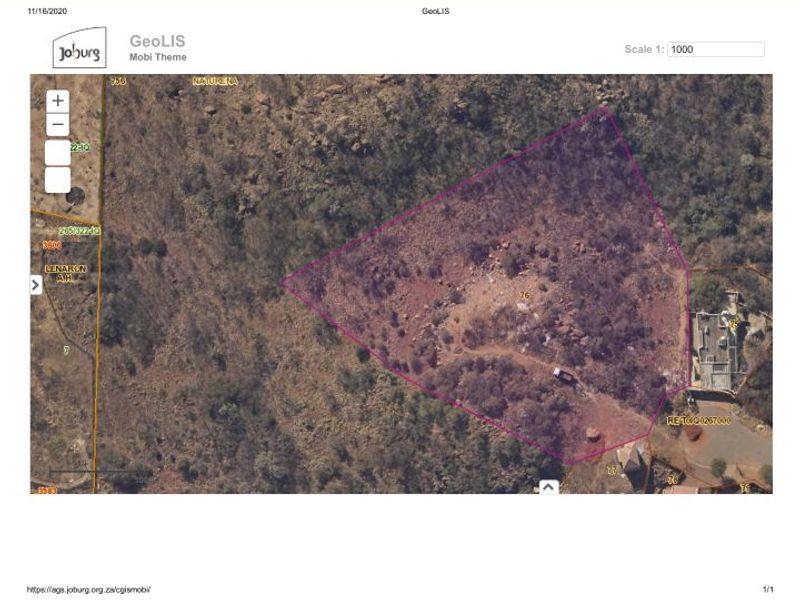 COMMERCIAL LAND - Photo 1