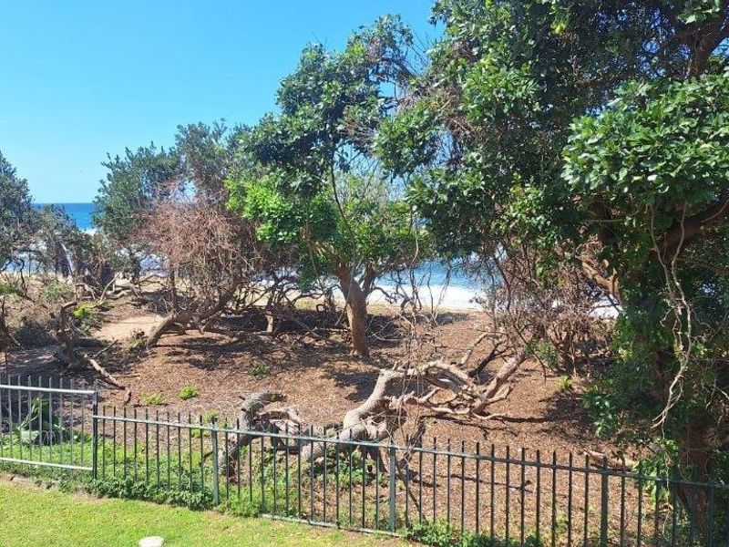 A view of the coastal landscape and ocean, framed by mature trees and a metal perimeter fence.