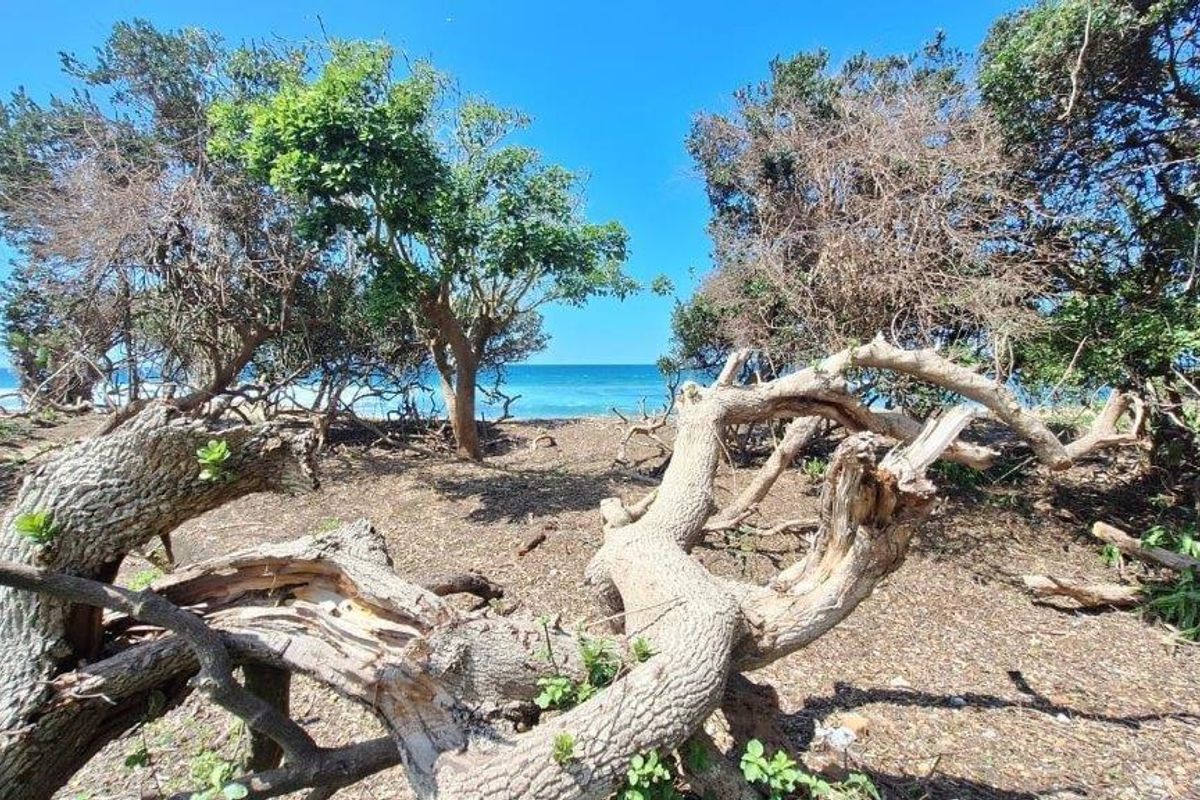 Three Bedroom Townhouse On Hibberdene Beach - Photo 3