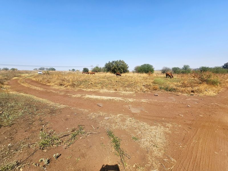Prime Land For Sale in Mnandi - Photo 2