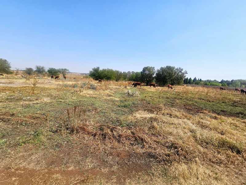 Prime Land For Sale in Mnandi - Photo 10