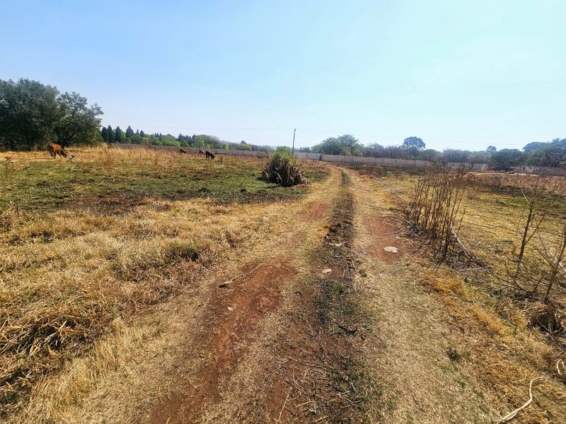 Prime Land For Sale in Mnandi - Photo 8