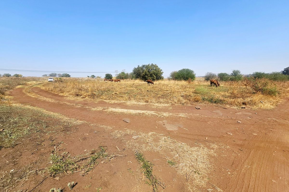 A wide-angle view of a vacant residential plot featuring natural dry grass, shrubs, and an unpaved dirt access road.