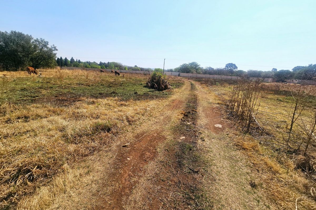 A view of a vacant residential plot featuring a dirt track, dry grass, and a perimeter wall in the background.