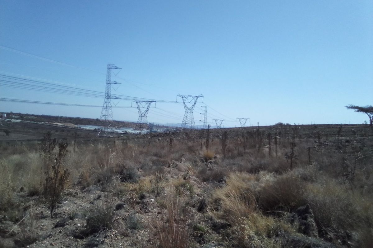 12 HECTARES VACANT LAND FOR RENTAL - Photo 2