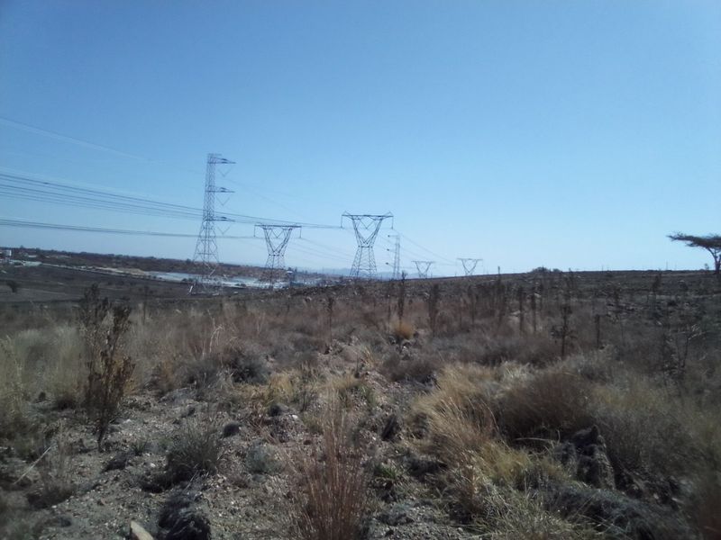 12 HECTARES VACANT LAND FOR RENTAL - Photo 2