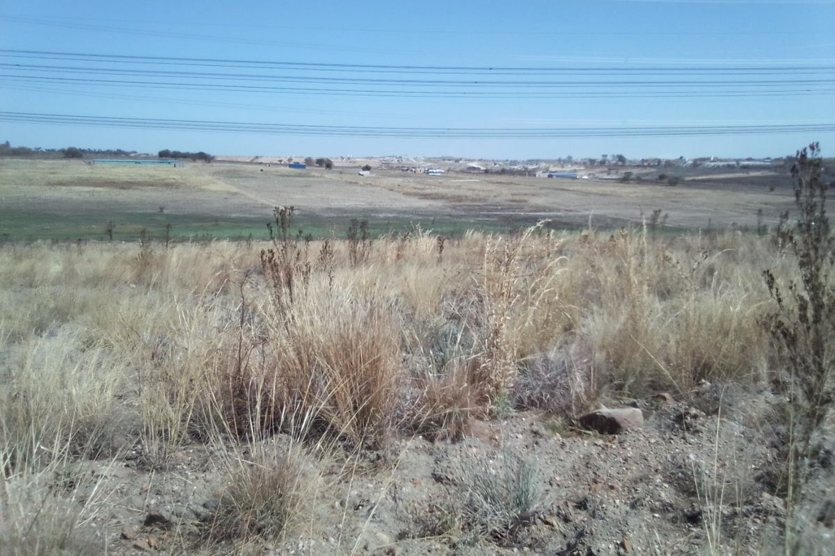 12 HECTARES VACANT LAND FOR RENTAL - Photo 5