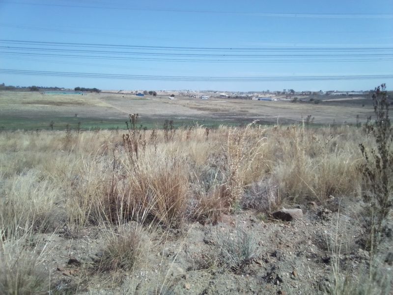 12 HECTARES VACANT LAND FOR RENTAL - Photo 5