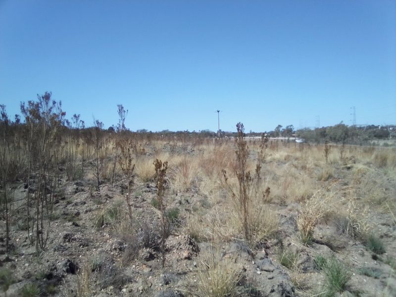 12 HECTARES VACANT LAND FOR RENTAL - Photo 10