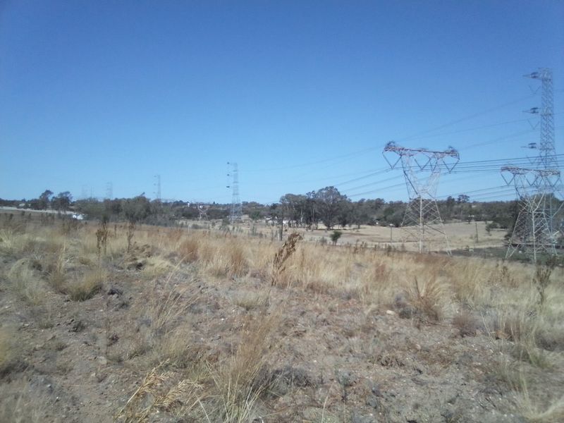 12 HECTARES VACANT LAND FOR RENTAL - Photo 9