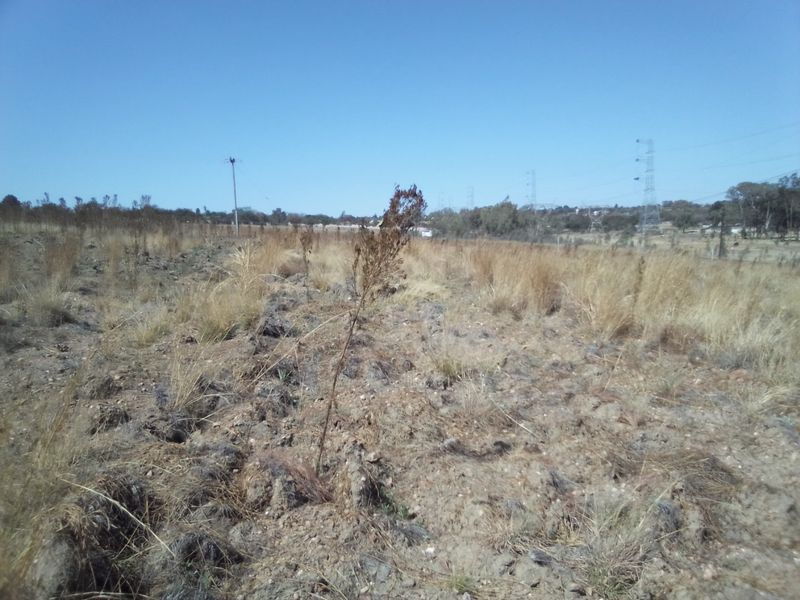 12 HECTARES VACANT LAND FOR RENTAL - Photo 7