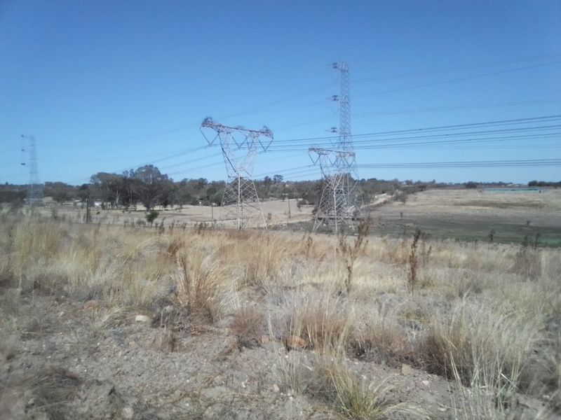 12 HECTARES VACANT LAND FOR RENTAL - Photo 6