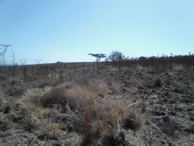12 HECTARES VACANT LAND FOR RENTAL - Photo 3