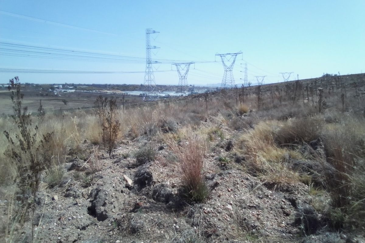 12 HECTARES VACANT LAND FOR RENTAL - Photo 4