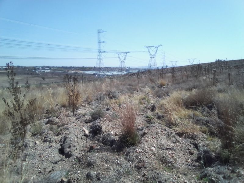 12 HECTARES VACANT LAND FOR RENTAL - Photo 4