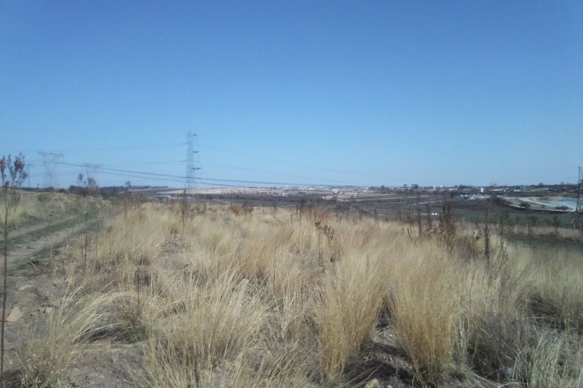 5 HECTARES VACANT LAND FOR RENTAL - Photo 3