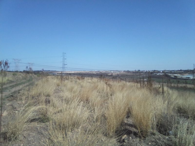 5 HECTARES VACANT LAND FOR RENTAL - Photo 3