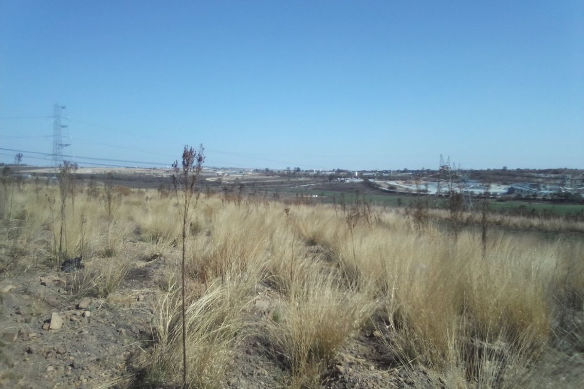 5 HECTARES VACANT LAND FOR RENTAL - Photo 4