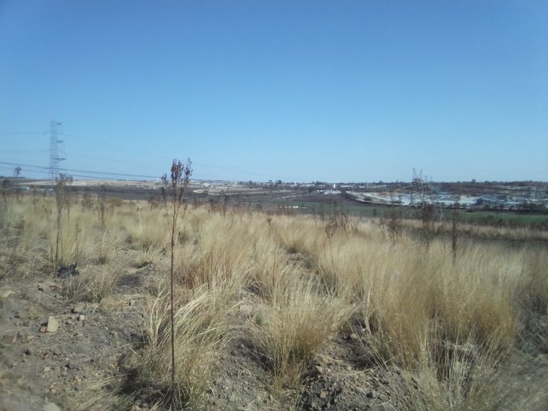 5 HECTARES VACANT LAND FOR RENTAL - Photo 4