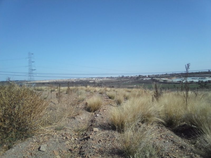 5 HECTARES VACANT LAND FOR RENTAL - Photo 8