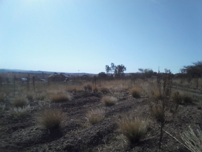 5 HECTARES VACANT LAND FOR RENTAL - Photo 7