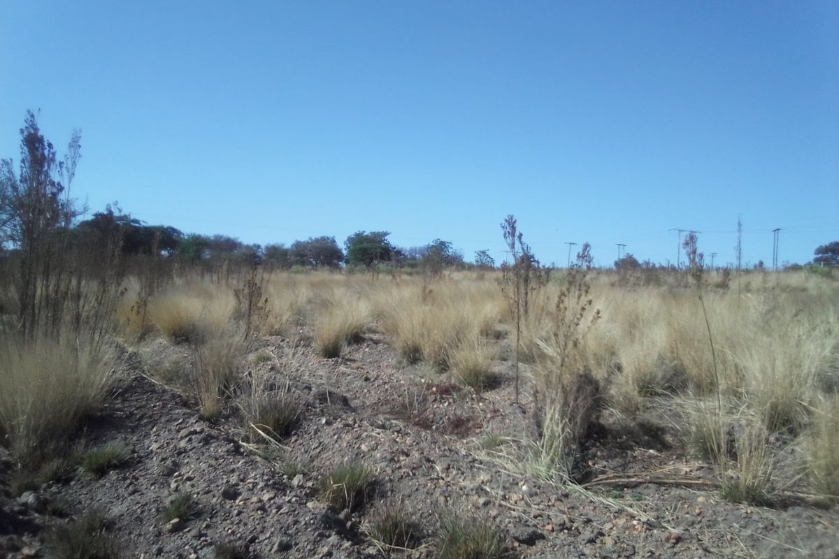 5 HECTARES VACANT LAND FOR RENTAL - Photo 5