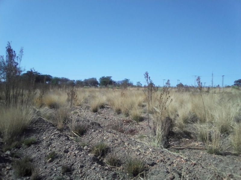 5 HECTARES VACANT LAND FOR RENTAL - Photo 5