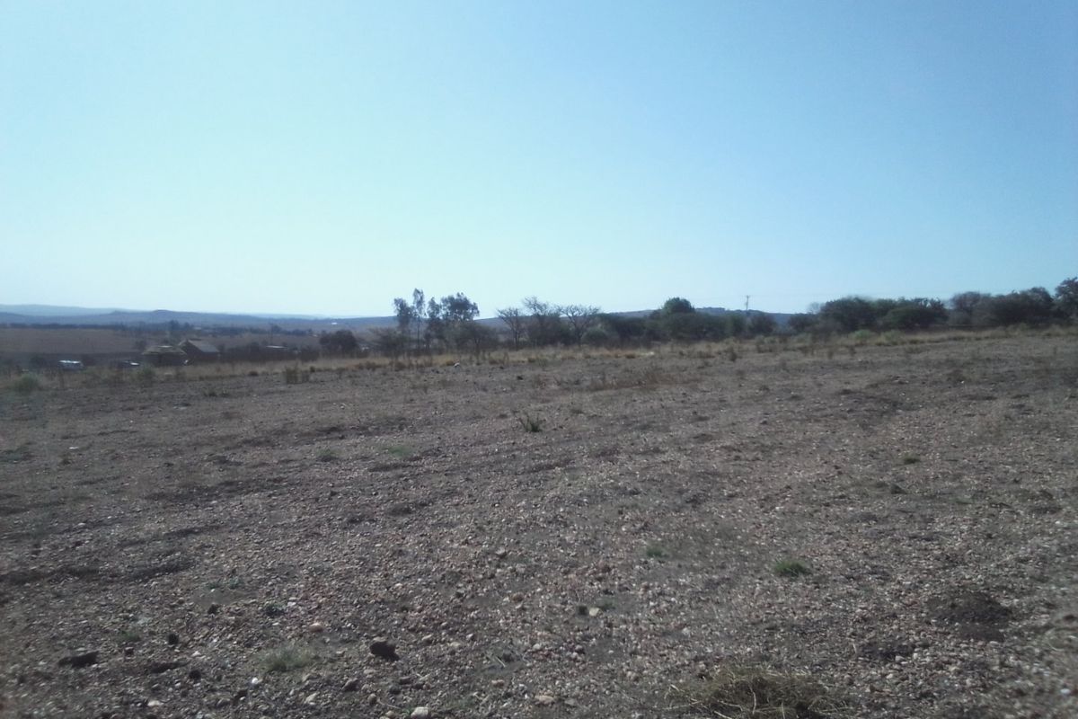 50 HECTARES VACANT LAND FOR RENTAL - Photo 5