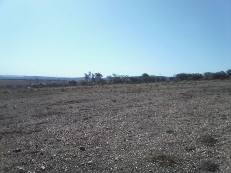 50 HECTARES VACANT LAND FOR RENTAL - Photo 5