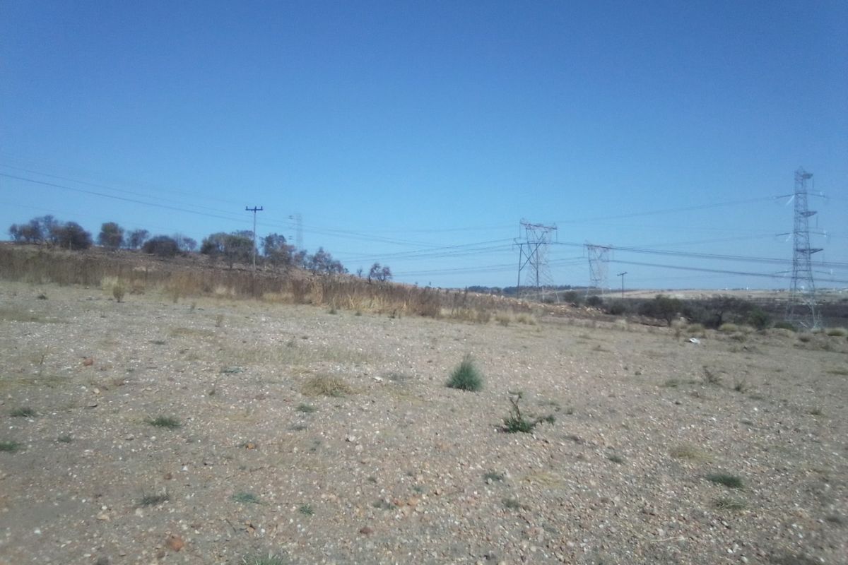 50 HECTARES VACANT LAND FOR RENTAL - Photo 3