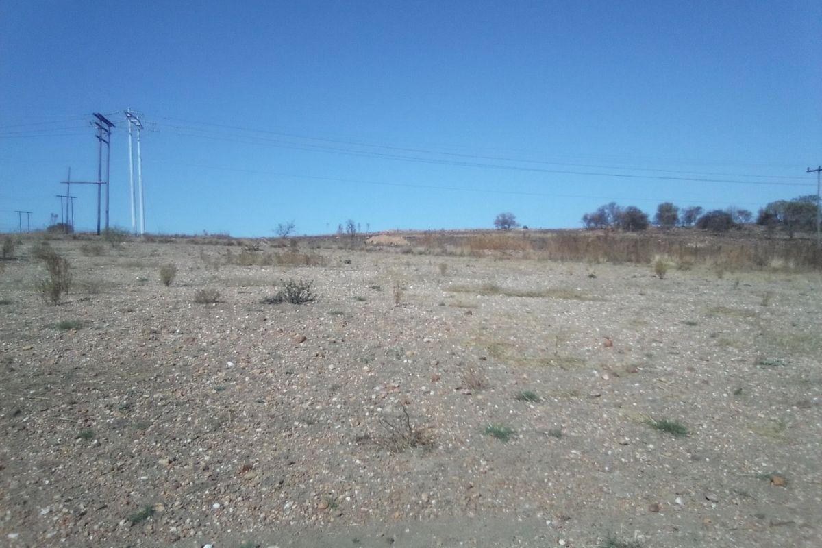 50 HECTARES VACANT LAND FOR RENTAL - Photo 4
