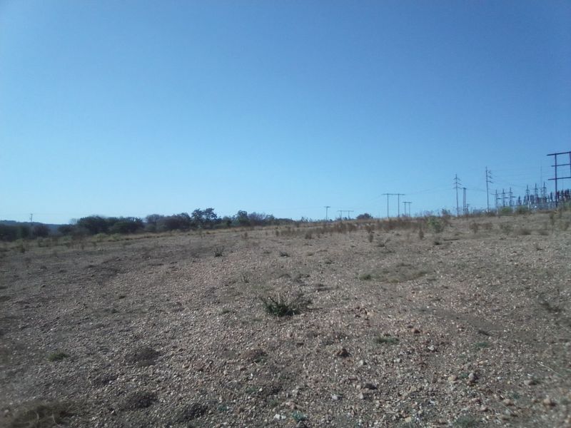 50 HECTARES VACANT LAND FOR RENTAL - Photo 6
