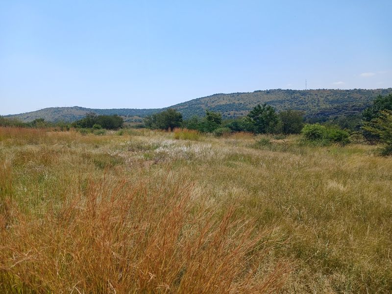 Riverfront Property in Hennops River (Schurveberg) - Photo 8