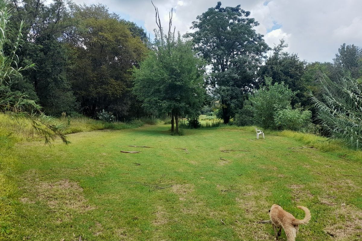 Riverfront Property in Hennops River (Schurveberg) - Photo 4