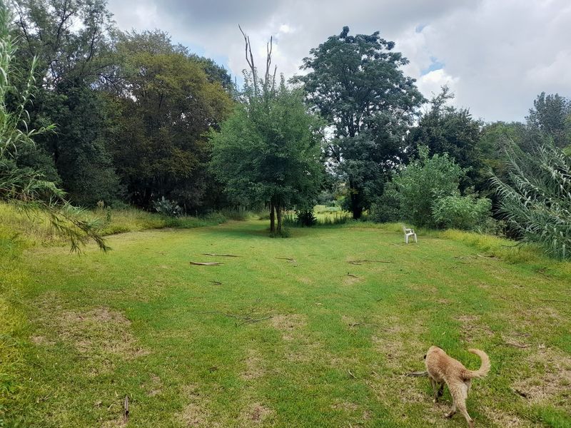 Riverfront Property in Hennops River (Schurveberg) - Photo 4