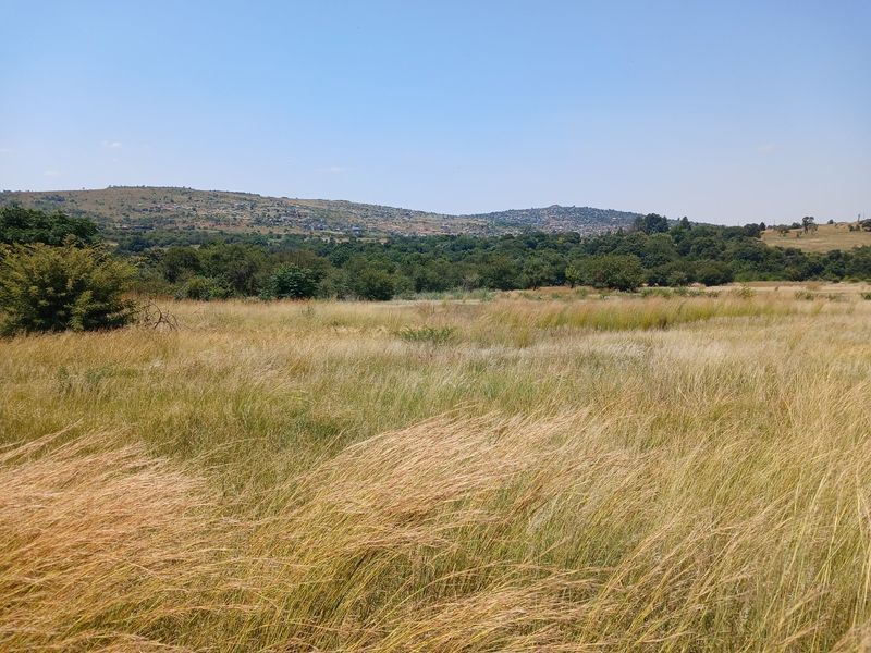 Riverfront Property in Hennops River (Schurveberg) - Photo 7