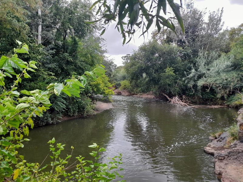 Riverfront Property in Hennops River (Schurveberg) - Photo 6