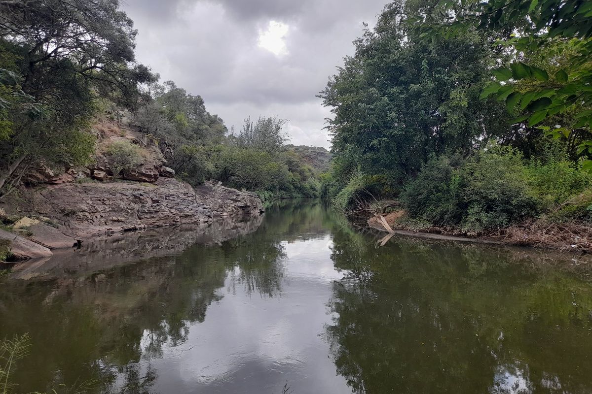 Riverfront Property in Hennops River (Schurveberg) - Photo 5