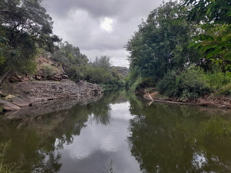 Riverfront Property in Hennops River (Schurveberg) - Photo 5